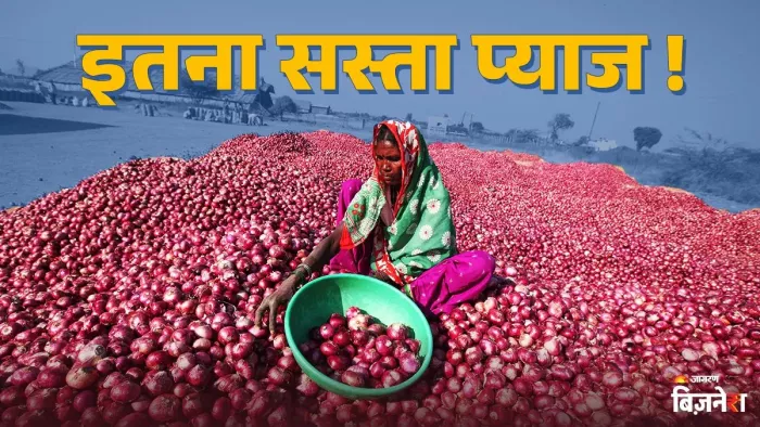 24 रुपये प्रति किलो पर सरकार बेचेगी प्याज