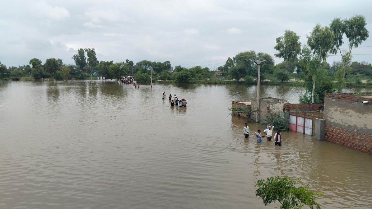 https://www.jagranimages.com/images/newimg/04092025/04_09_2025-punjab-flood_24034996_6435143.jpg