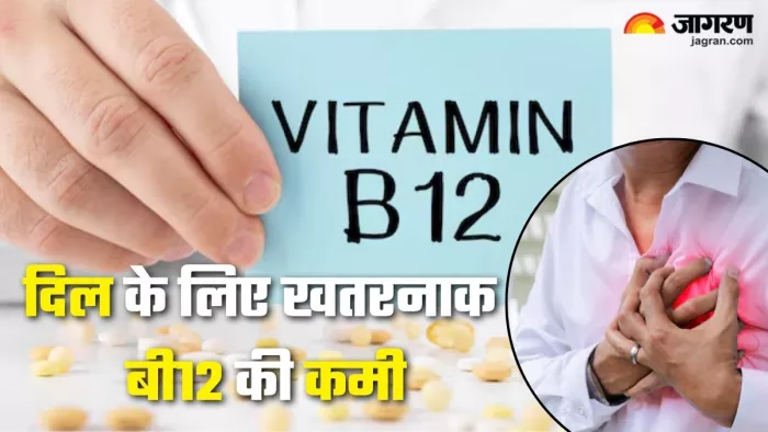 विटामिन-बी12 की कमी बढ़ा सकती है हार्ट अटैक का खतरा (Picture Credit- Freepik)