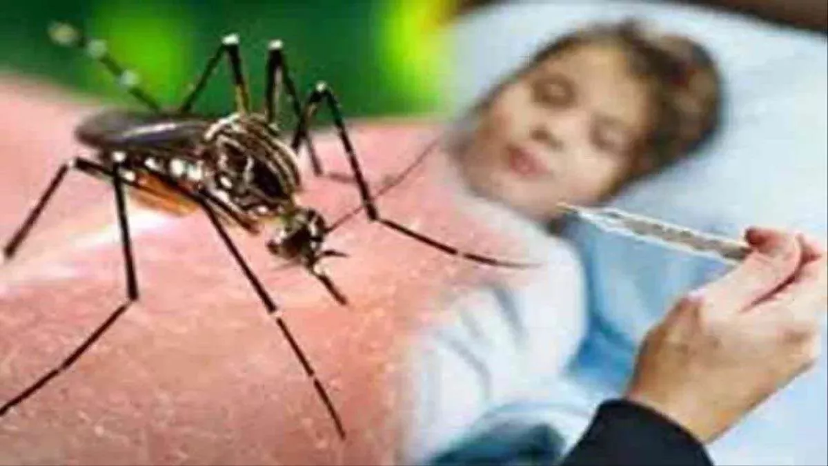 प्रयागराज में डेंगू का डंक, पांच साल के बच्चे समेत 10 लोगों को डेंगू बुखार ने जकड़ा, रहिए सावधान