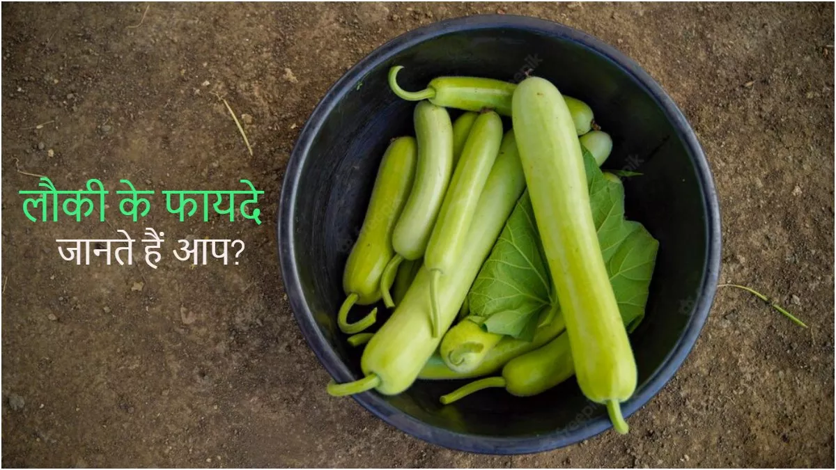 Bottle Gourd Benefits: डायबिटीज़ से लेकर कोलेस्ट्रॉल कंट्रोल करने तक, लौकी के फायदे आपको कर देंगे हैरान