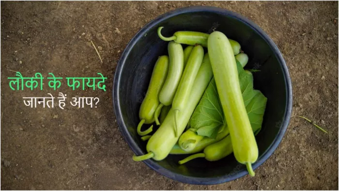 Bottle Gourd Benefits: लौकी खाने के फायदे आपको कर देंगे हैरान