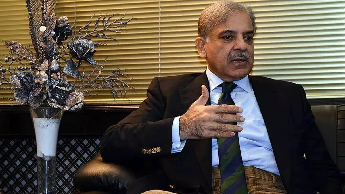 PM Shehbaz Sharif ने इमरान खान को बताया पृथ्वी पर सबसे बड़ा झूठा, आर्थिक बदहाली के लिए ठहराया जिम्मेदार