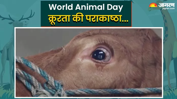 विश्व पशु दिवस पर पशुओं के प्रति हो रही क्रूरता को रोकने का संकल्प।