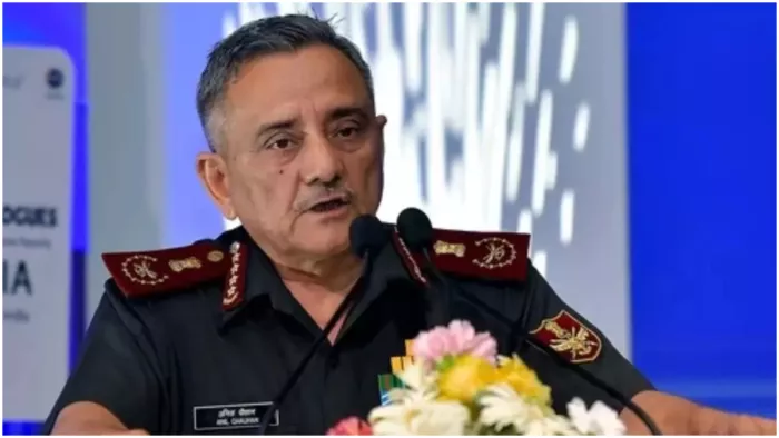 अनिल चौहान ने कहा कि भारत के पास पर्याप्त 'दांत' यानी मारक क्षमता होनी चाहिए। (File Image)