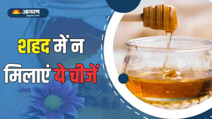 Foods to Avoid with Honey: इन चीजों के साथ नुकसान पहुंचाता है शहद (Picture Courtesy: Freepik)
