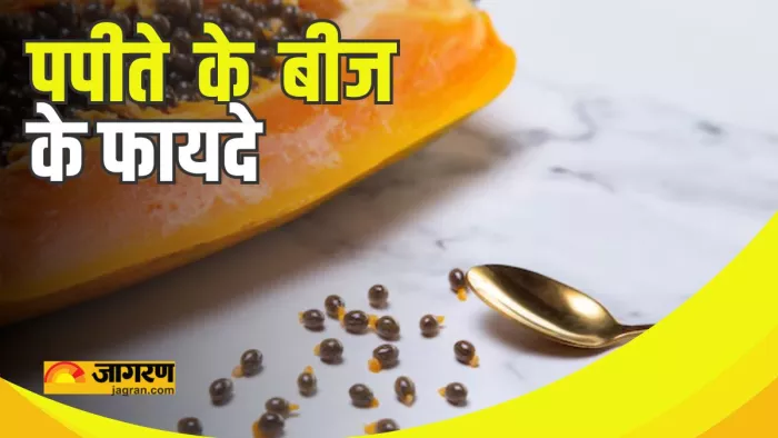 पपीते के बीज में छिपा है सेहत का राज! (Picture Courtesy: Freepik)