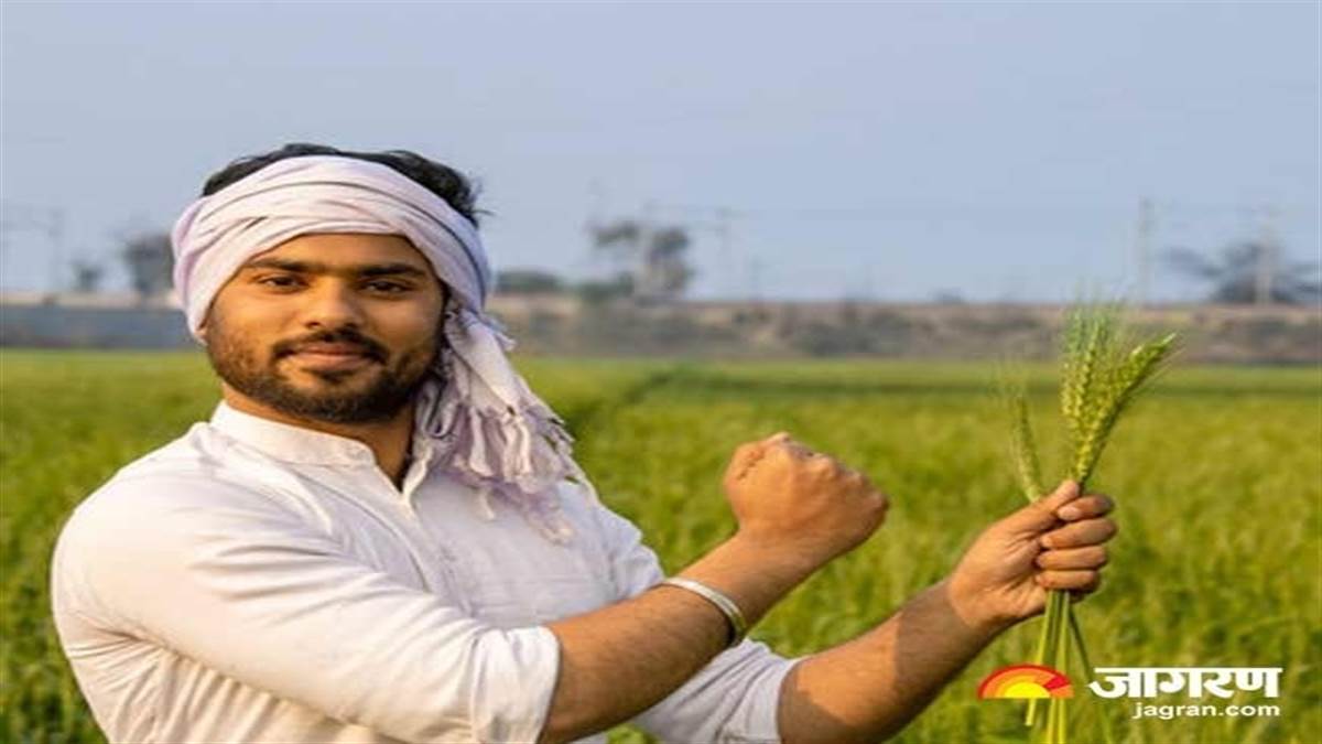 https://www.jagranimages.com/images/newimg/04102024/04_10_2024-pm_kisan11_23809512.jpg