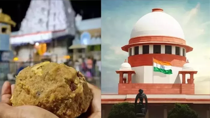 Tirupati Laddu Case: कोर्ट ने एक नई स्वतंत्र एसआईटी गठन करने के आदेश दिया।(फोटो सोर्स: जागरण)