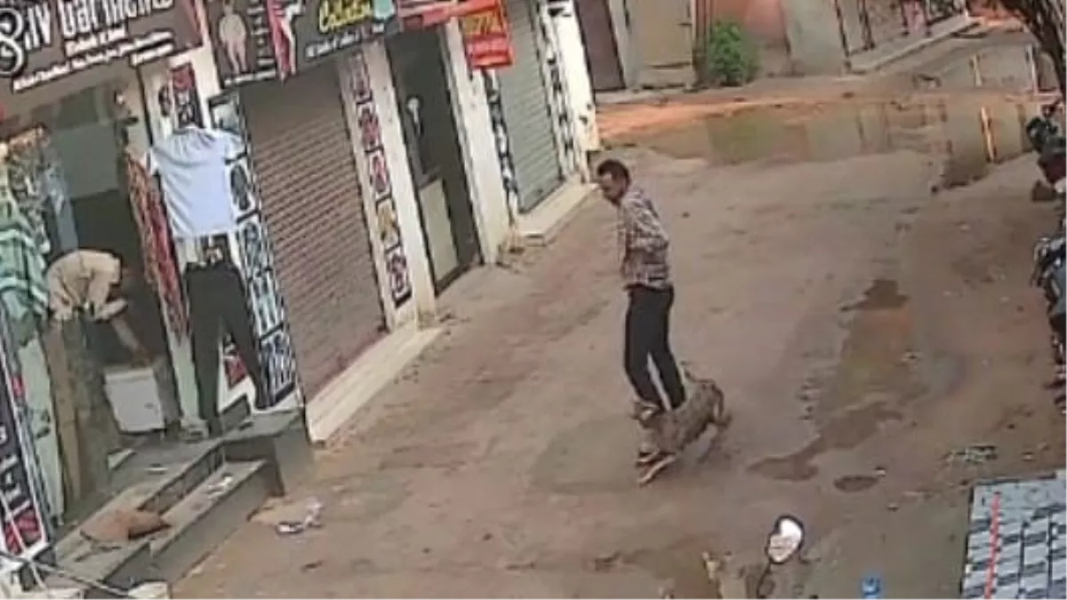 Hero Image