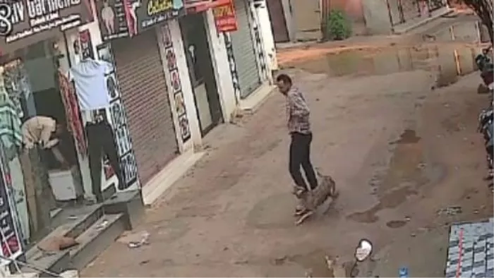 कुत्ते ने मचाया आतंक, एक ही दिन में 55 लोगों को काटा