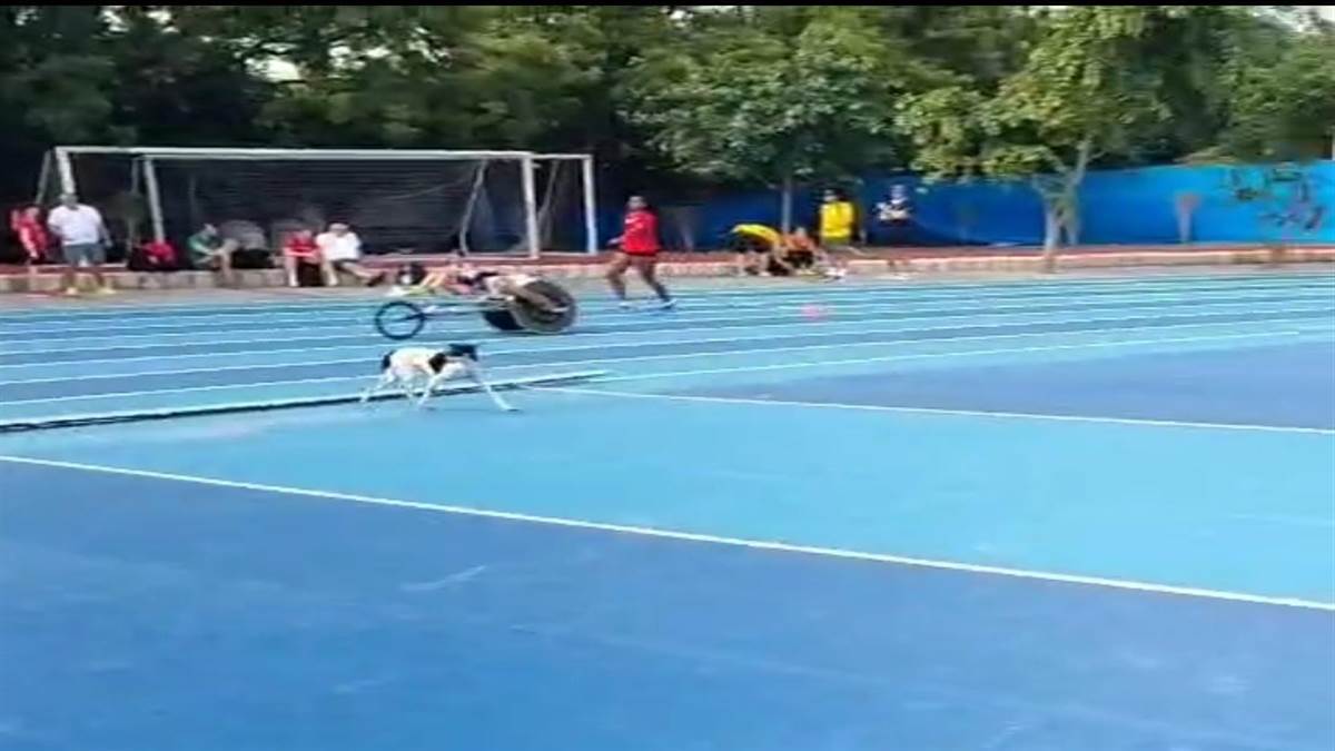 ncr world para athletics championship stray dog menace raises safety concerns