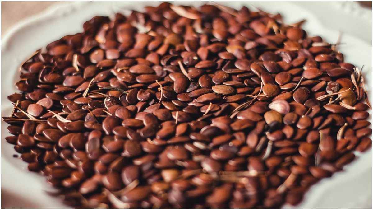 apply for free linseed minikit farmers benefit scheme