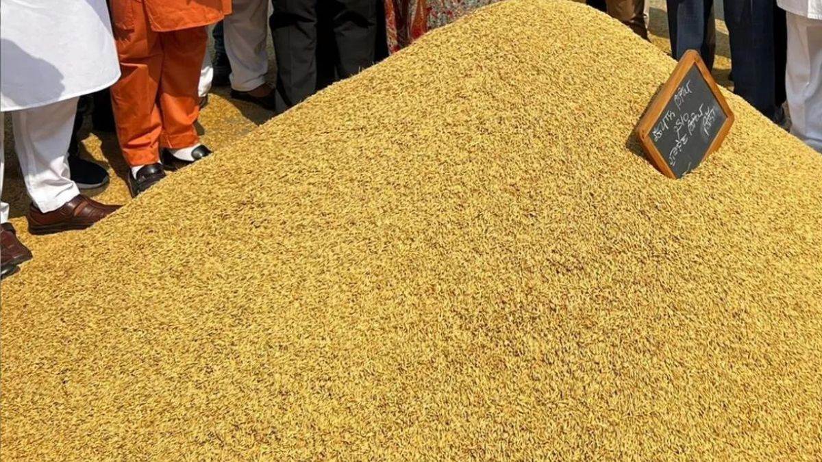paddy procurement continues at msp in haryana over rs 543 crore has reached farmers accounts