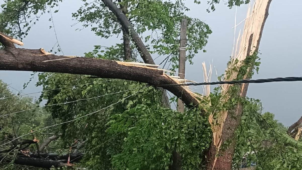 power supply disrupted in muzaffarpur after storm and rain