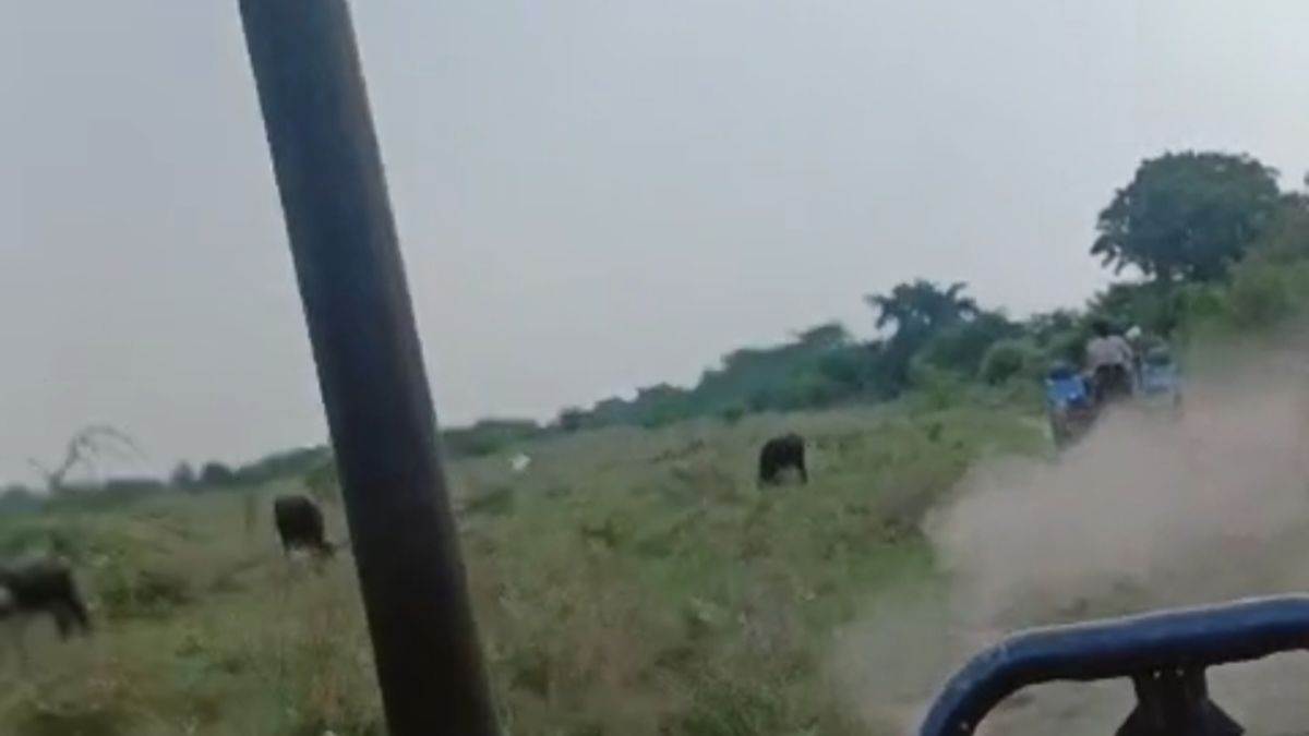 ncr faridabad news haryana and up farmers clash over land after yamuna flood