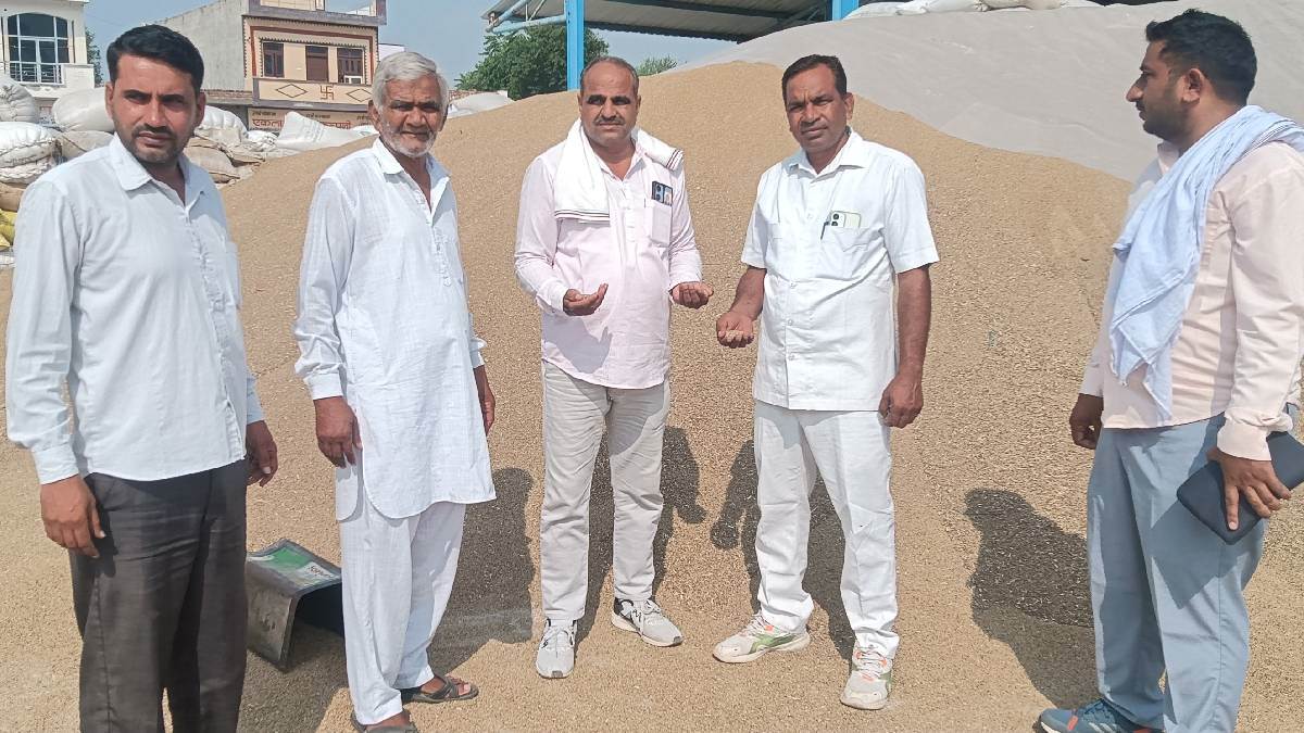 bhiwani news farmers anguished as bajra government procurement stalls