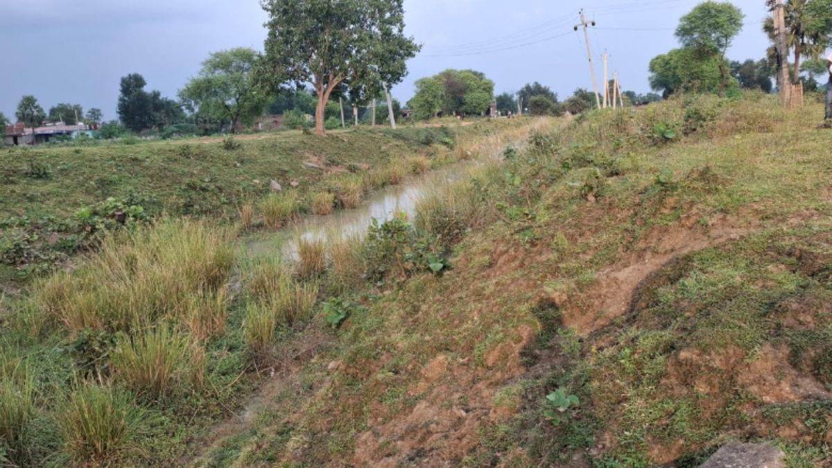 koyal canal project aims to boost irrigation in gaya and aurangabad
