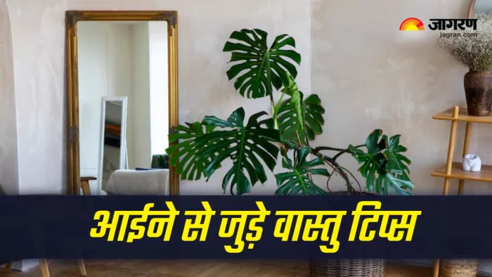 Vastu Tips For Mirror in hindi (Picture Credit: Freepik)