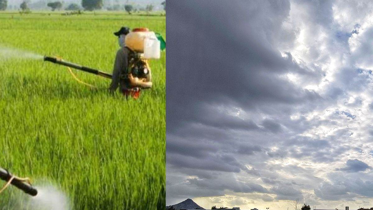 pesticides in clouds a growing threat to human civilization
