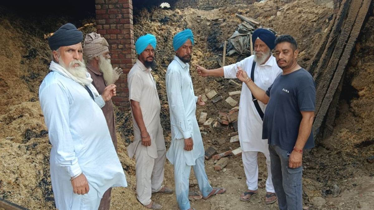 fire at dairy farm in budhlada park from firecrackers set the stubble ablaze animals lives saved bhatinda news