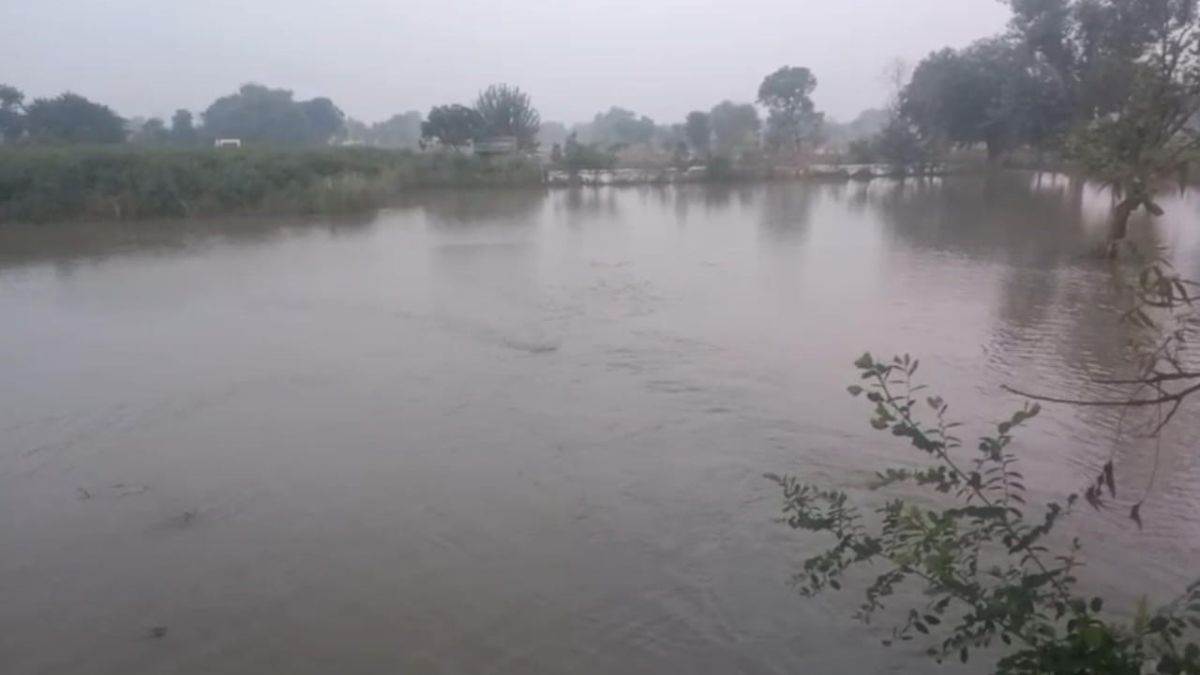 hathras dgd breach floods farmlands damaging crops