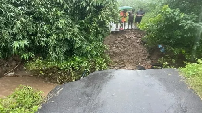 अतिवृष्टि से सड़क कटी, पेड़ गिरा, आवागमन बाधित।