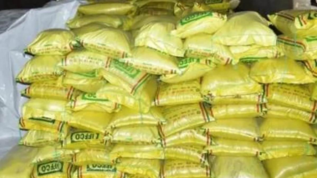haryana dap shortage farmers face crisis alternative fertilizers urged