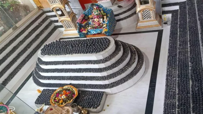Tulsi Shaligram Vivah 2022: श्री विद्याधाम मंदिर परिसर में नेपाल से लाये गए 12 हजार 500 शालिग्राम स्थापित हैं।