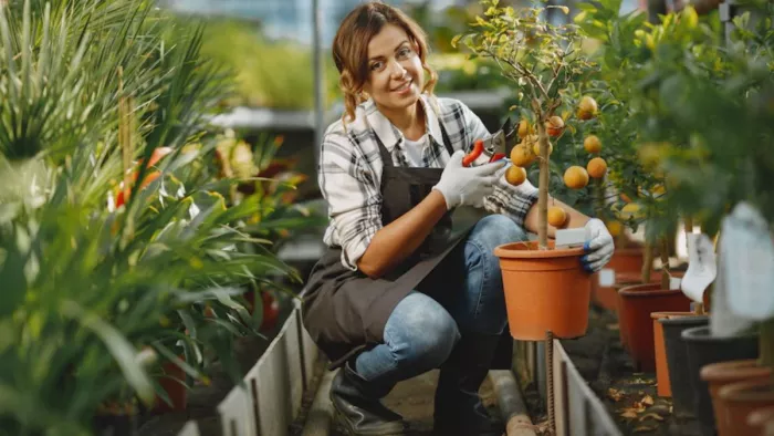 Kitchen Gardening: किचन गार्डेनिंग करते समय आप केमिकल युक्त खाद-पदार्थों का इस्तेमाल न करें।
