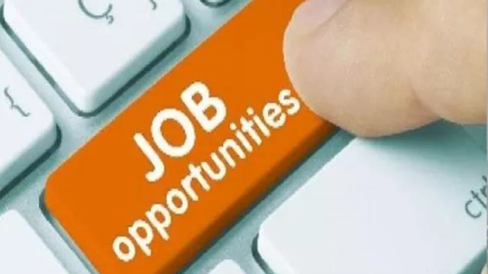 JOBs In Ludhiana: लुधियाना में नौकरी पाने का सुनहरा मौका। (सांकेतिक)