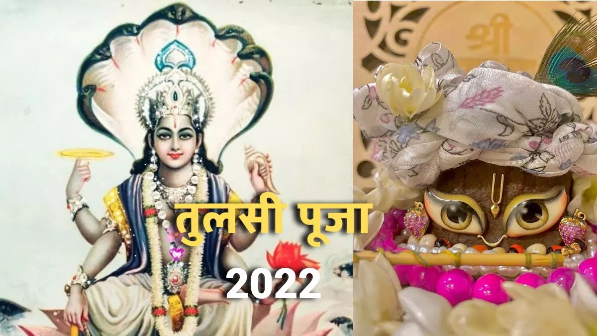 Tulsi Vivah 2022 भगवान शालिग्राम की पूजा से ...