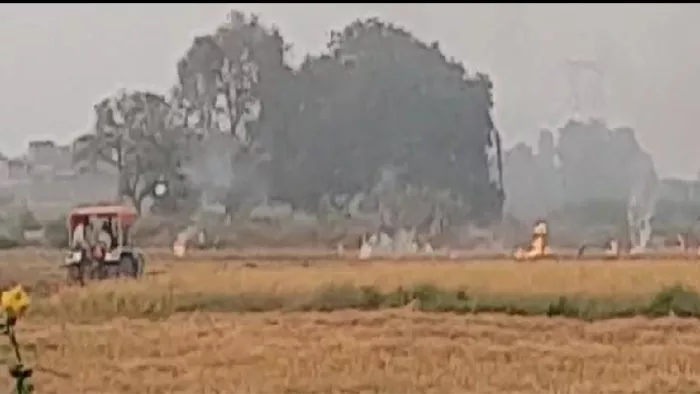 पयार की लपटों से आसमान हुआ काला