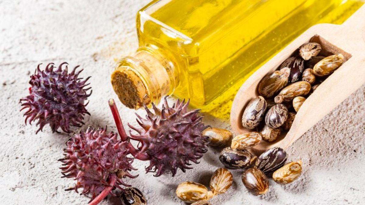 https://www.jagranimages.com/images/newimg/04112024/04_11_2024-castor_oil_on_navel_23825519.jpg