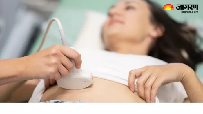IVF Treatment के दौरान क्या खाना चाहिए और क्या नहीं? (Image Source: Freepik)