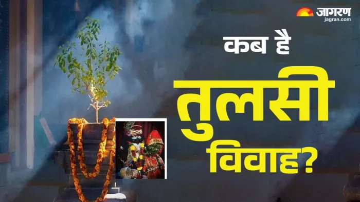 Tulsi Vivah 2024 Date: तुलसी विवाह डेट और शुभ मुहूर्त।
