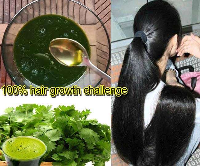 Gharelu Nuskhe : आपके बालों के लिए रामबाण है हरा धनिया, जानिए कैसे करे  प्रयोग - Gharelu Nuskhe : Hara Dhaniya ke Fayde green coriander is a boon  for hair its benefits