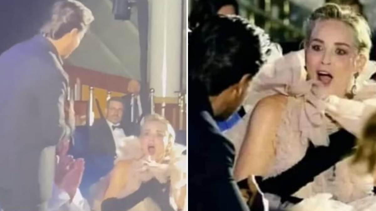 sharon stone starstruck shah rukh khan video hollywood actress starstruck reaction after seeing shah rukh khan at the red sea film festival watch viral video