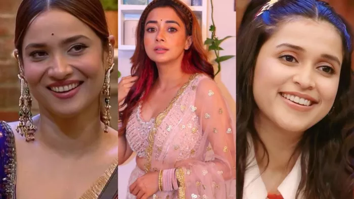 टीना दत्ता ने इस कंटेस्टेंट पर कसा तंज, बताया मेकर्स किसे बनाएंगे बिग बॉस 17 का विनर / फोटो- Instagram