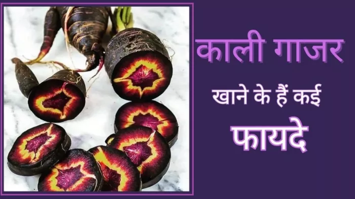 Black Carrot Benefits: काली गाजर खाने के क्या फायदे हैं?