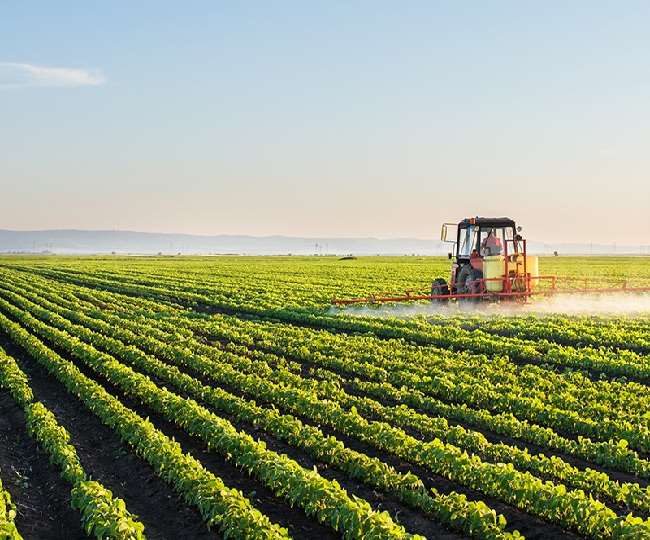 the deteriorating mood of weather is sure to affect rabi crops there is a possibility of damage to many crops