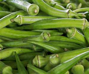 ranchi market price ladyfinger bhindi 100 rupees kg ranchi price of chikoo guava touching sky