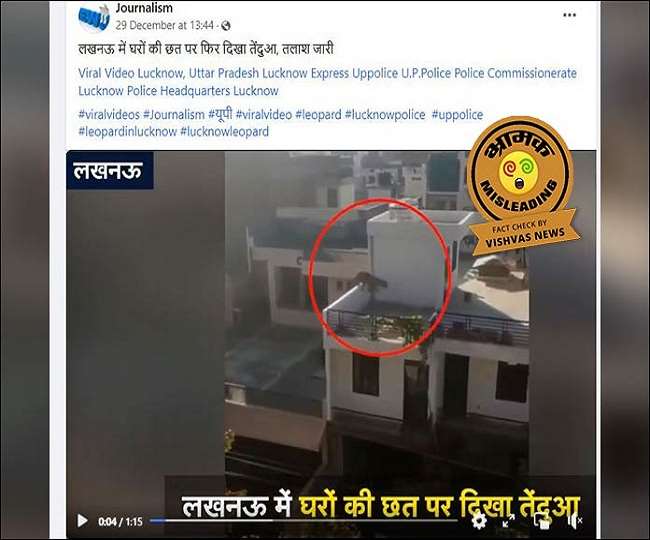 Fact Check Story: छतों पर घूमते तेंदुए का जयपुर का वीडियो लखनऊ के नाम पर वायरल