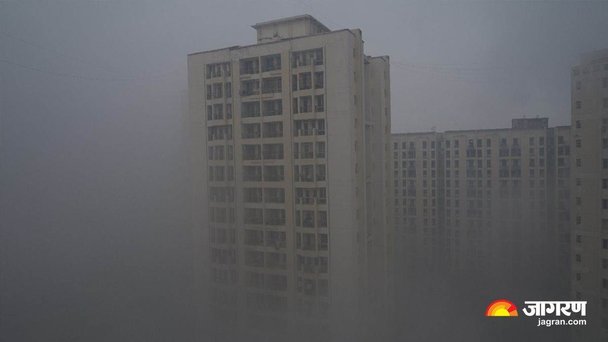 ncr noida weather icy winds forced noida residents to chill life affected by severe cold wave