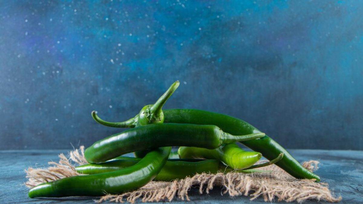 Green Chilli Benefits पोषक तत्वों का खजाना है हरी मिर्च, फायदे जानकर