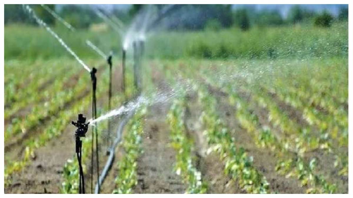 Punjab News 12 हजार से ज्यादा गांवों में होगी छप्पड़ों से सिंचाई, भूजल