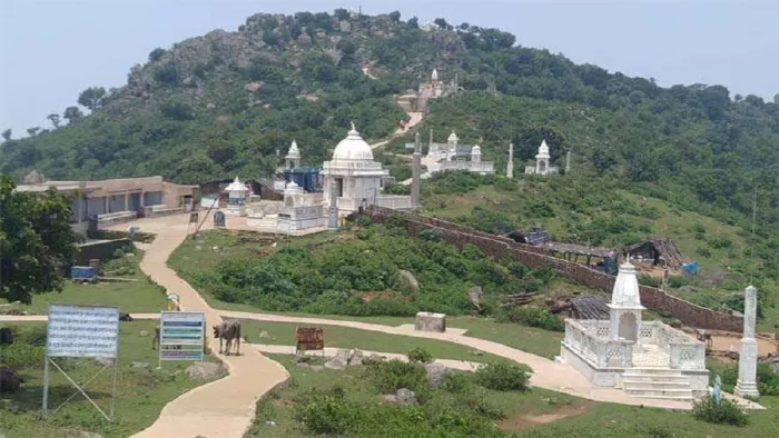 सम्मेद शिखरजी पर केंद्र का फैसला, पारसनाथ में नहीं होंगी पर्यटन एवं इको टूरिज्म गतिविधियां। फाइल फोटो।