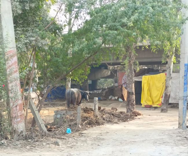 jagran
