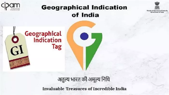 ओडिशा की सात वस्तुओं को मिला जीआई टैग।