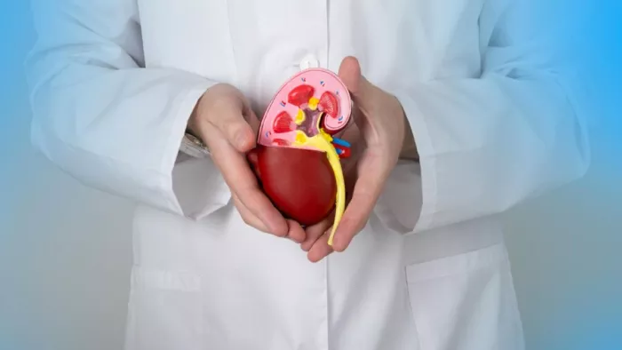 Kidney Health: किडनी को ऐसे रखें हेल्दी
